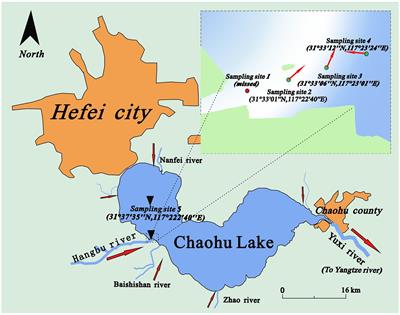 Whether interstitial space features were the main factors affecting sediment microbial community structures in Chaohu Lake